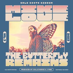 Cover of The Butterfly Remains