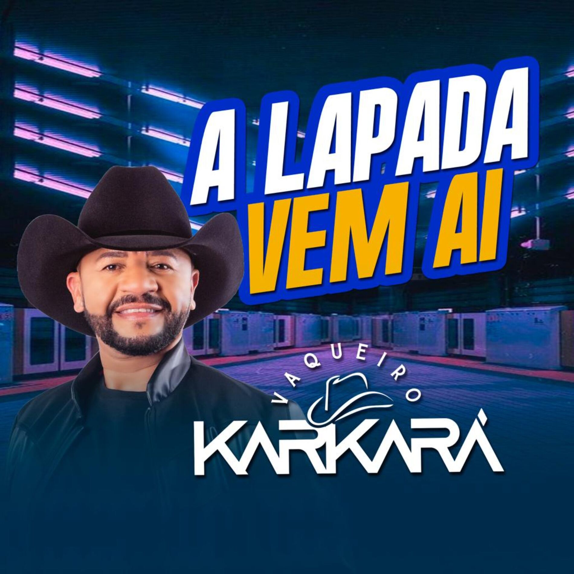 Album cover of A Lapada Vem Ai