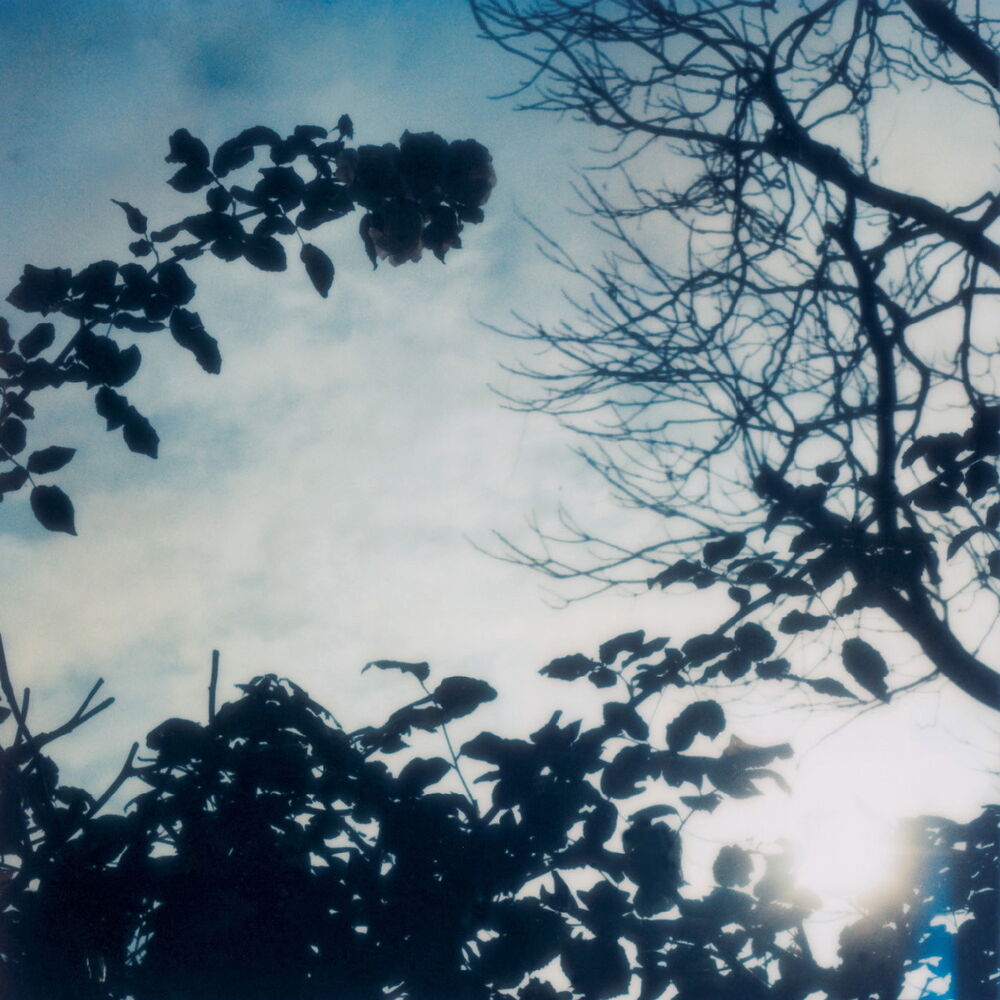 Picture of Flowing Seasons