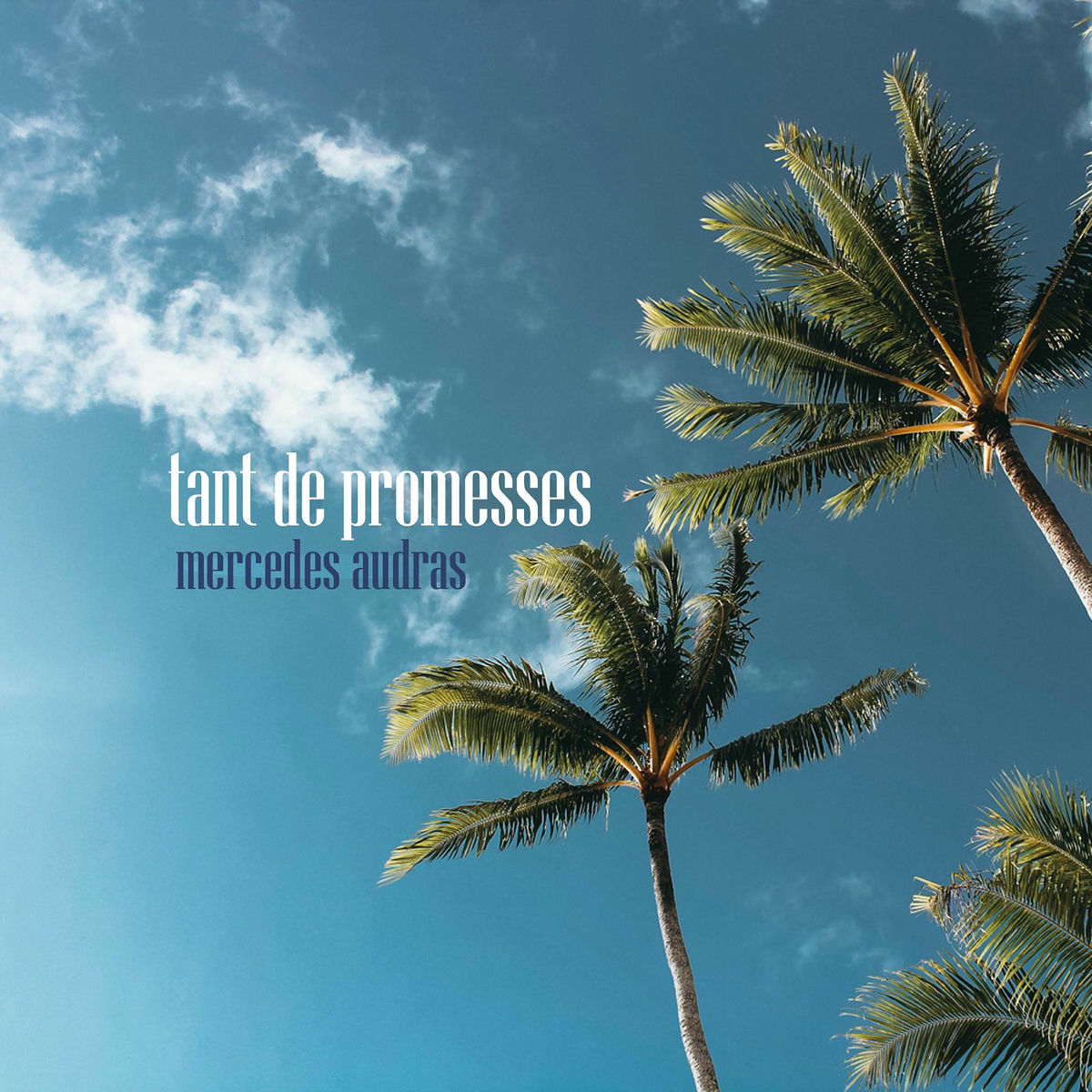 Album cover of Tant de Promesses