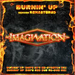 Cover of Burnin' Up