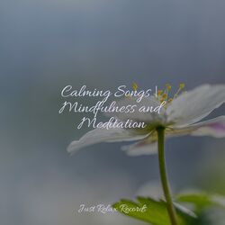 Cover of Calming Songs | Mindfulness and Meditation