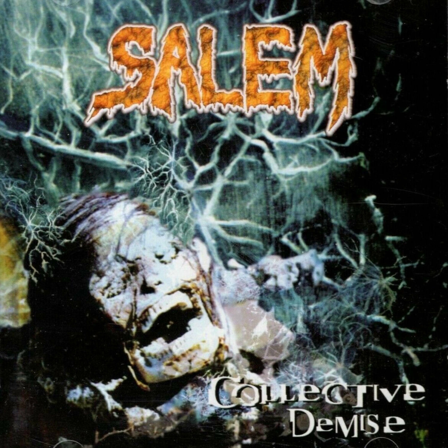 Album cover of Collective Demise
