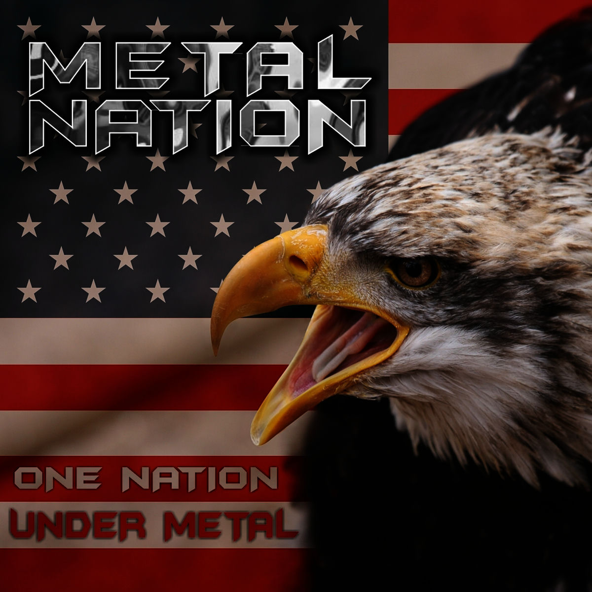 Album cover of Metal Nation