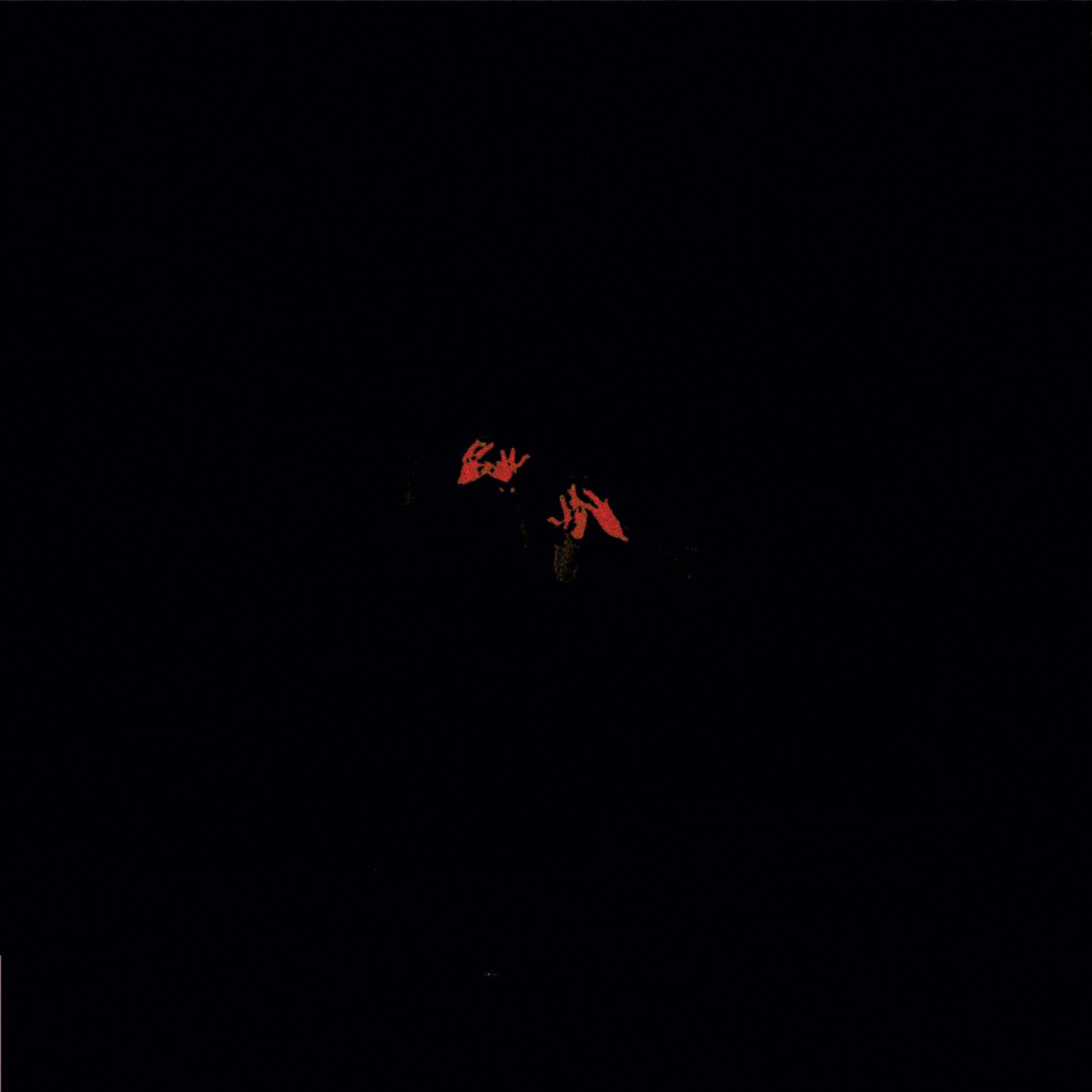 Album cover of I Still (feat. Charlie Burg) [Live]
