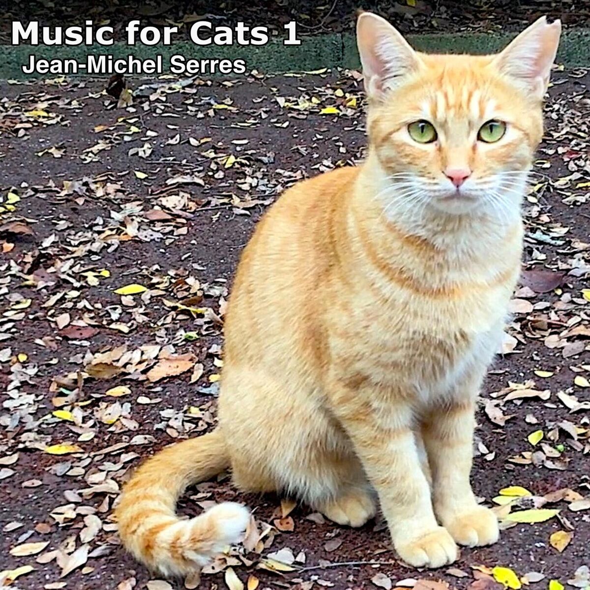Album cover of Music for Cats 1