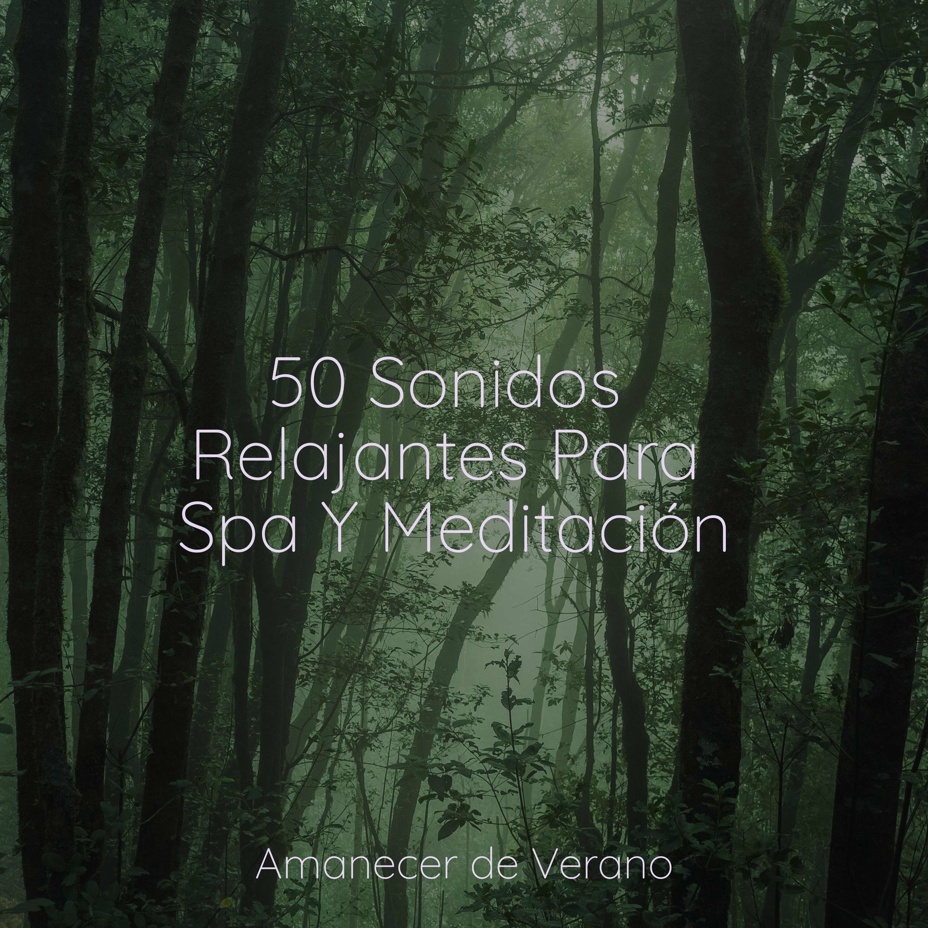 Album cover of 50 Sonidos Relajantes Para Spa Y Meditación
