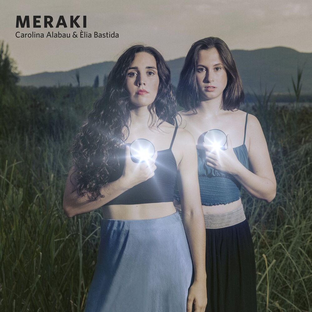 Picture of Meraki