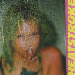 Cover of Heatstroke