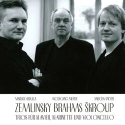 Cover of Zemlinksy, Brahms & Škroup: Trios Piano, Clarinet & Cello