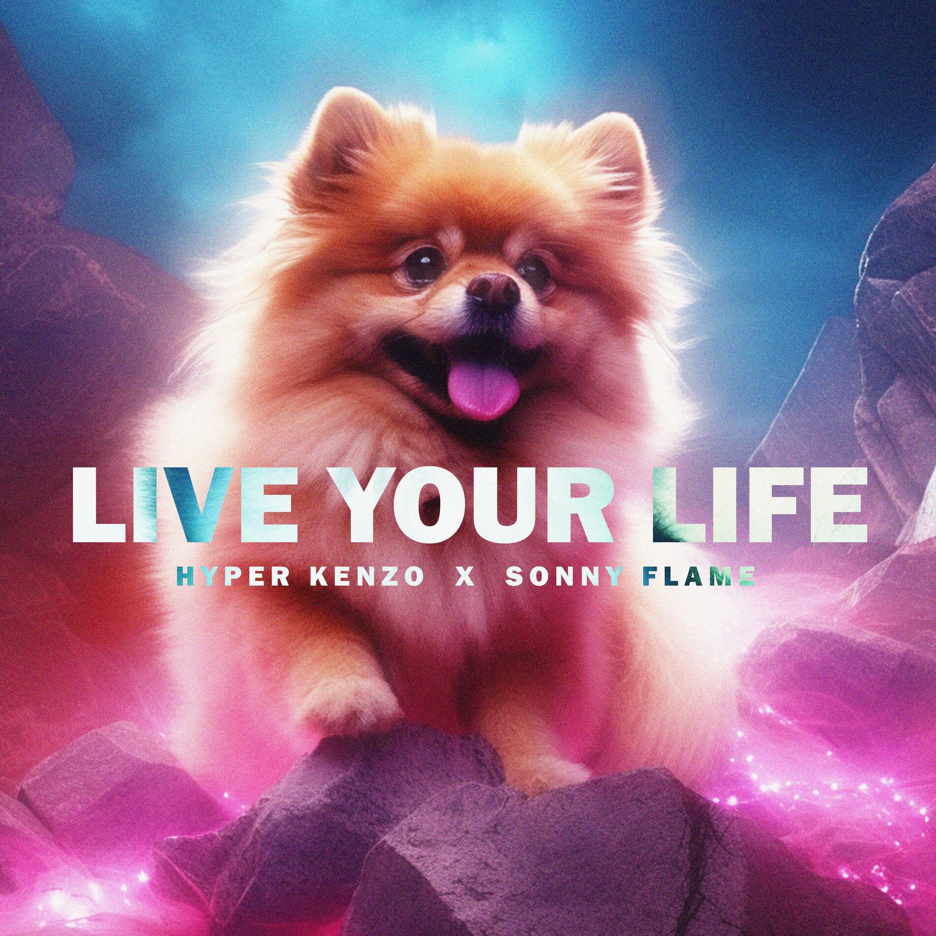 Album cover of Live Your Life