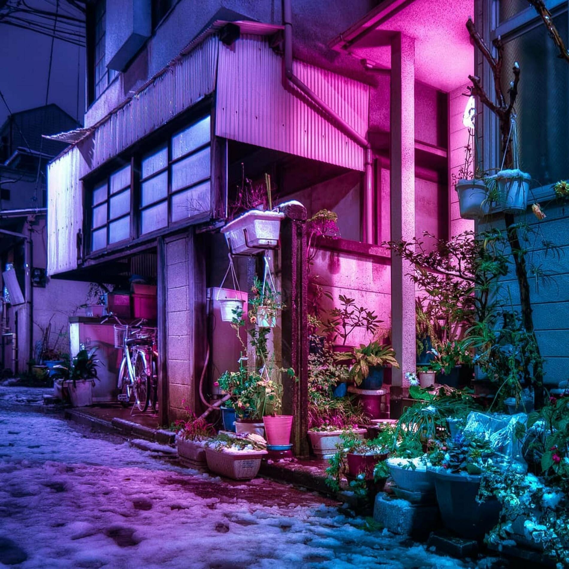 Album cover of Kadomatsu View