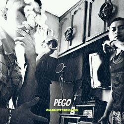 Cover of Pego
