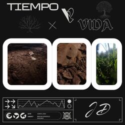 Cover of TIEMPO Y VIDA