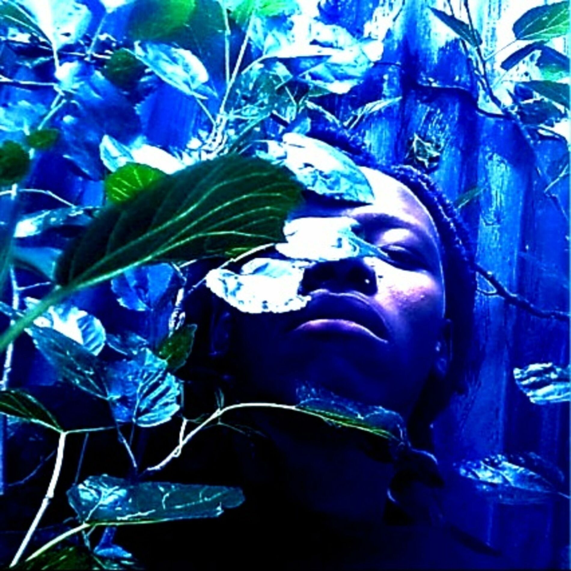 Album cover of Nephilim.