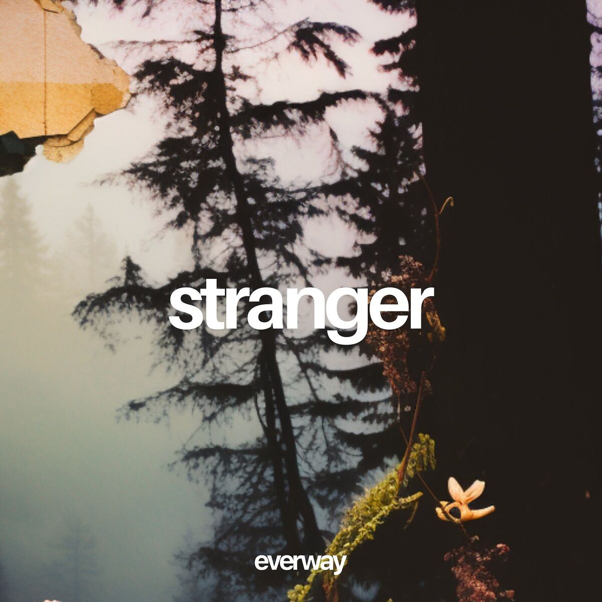 Album cover of Stranger