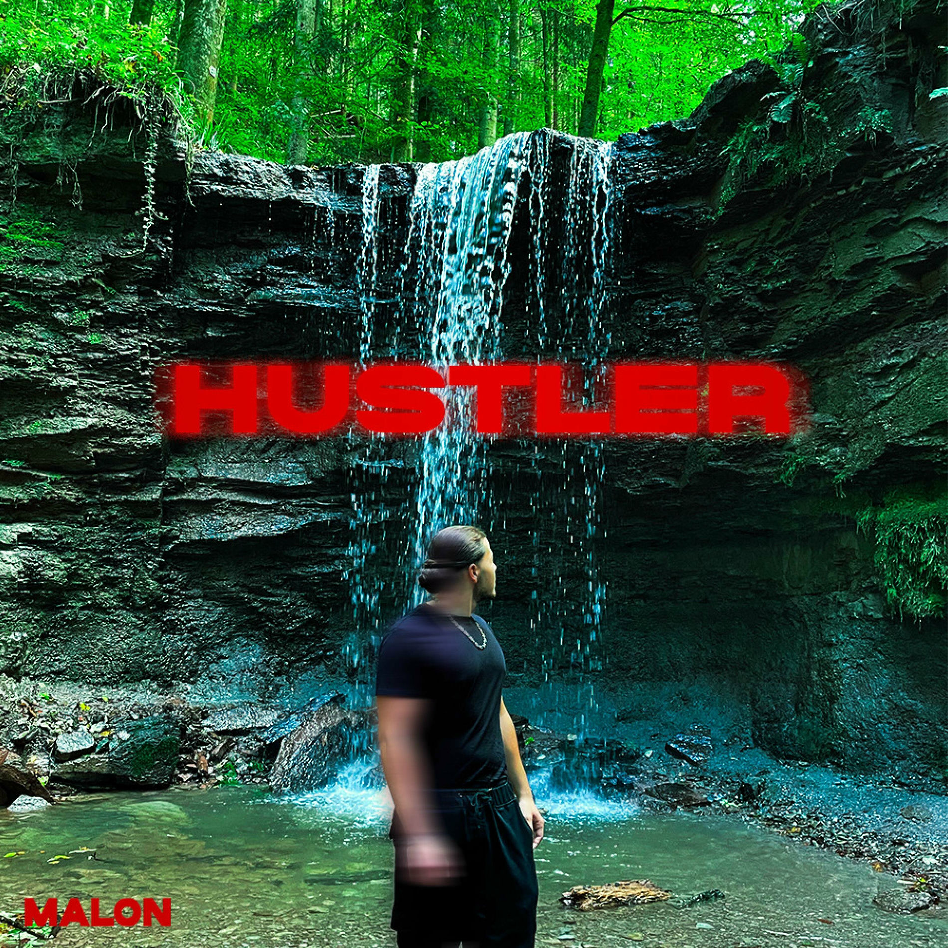 Album cover of HUSTLER