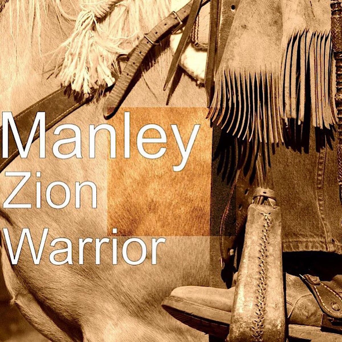 Album cover of Zion Warrior
