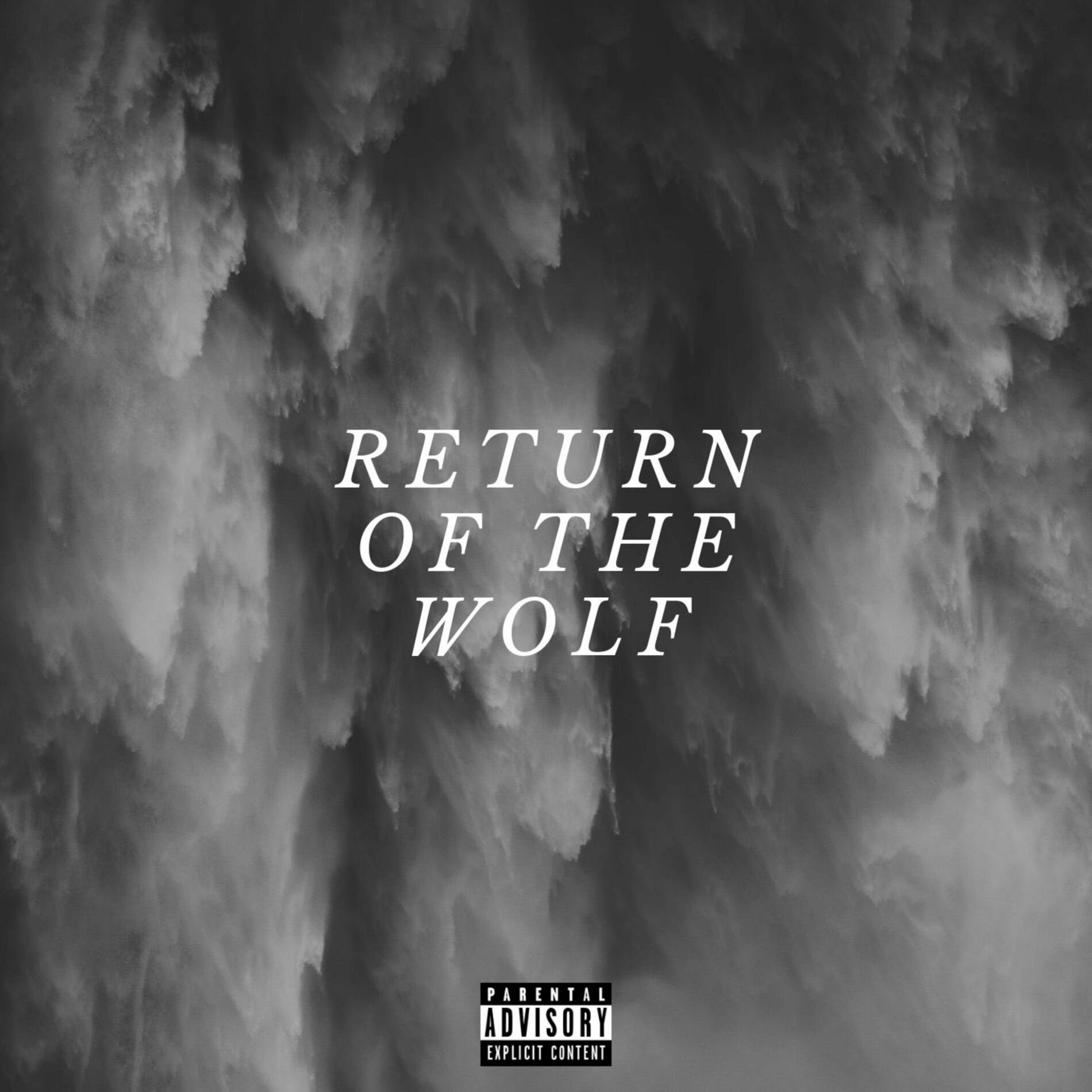 Album cover of Return of the Wolf
