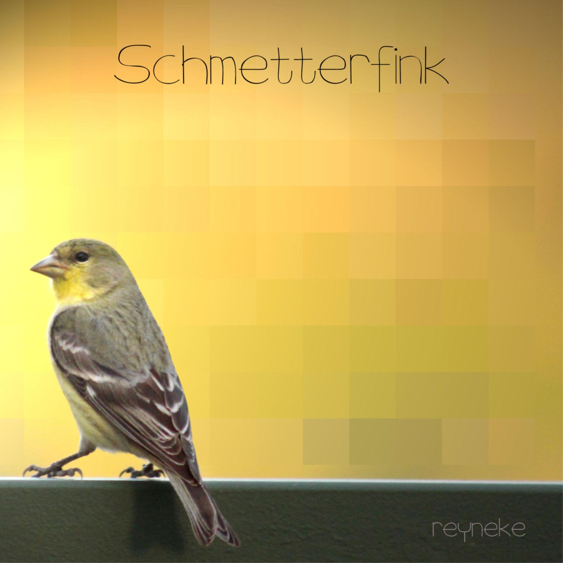 Album cover of Schmetterfink