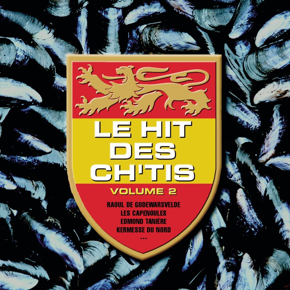 Album cover of Le Hit des Ch'tis, Vol. 2