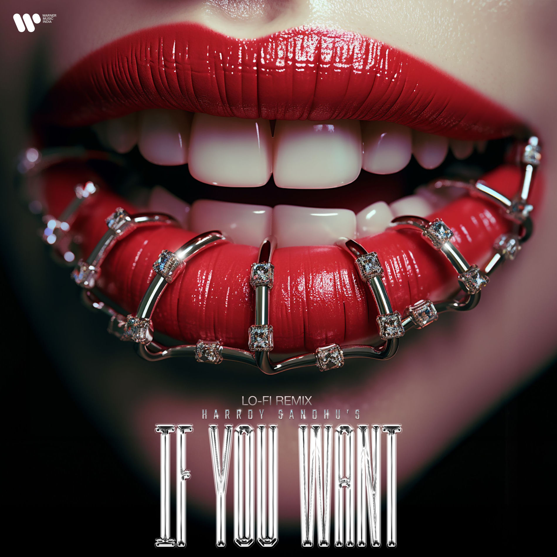 Album cover of If You Want (Lofi Remix)