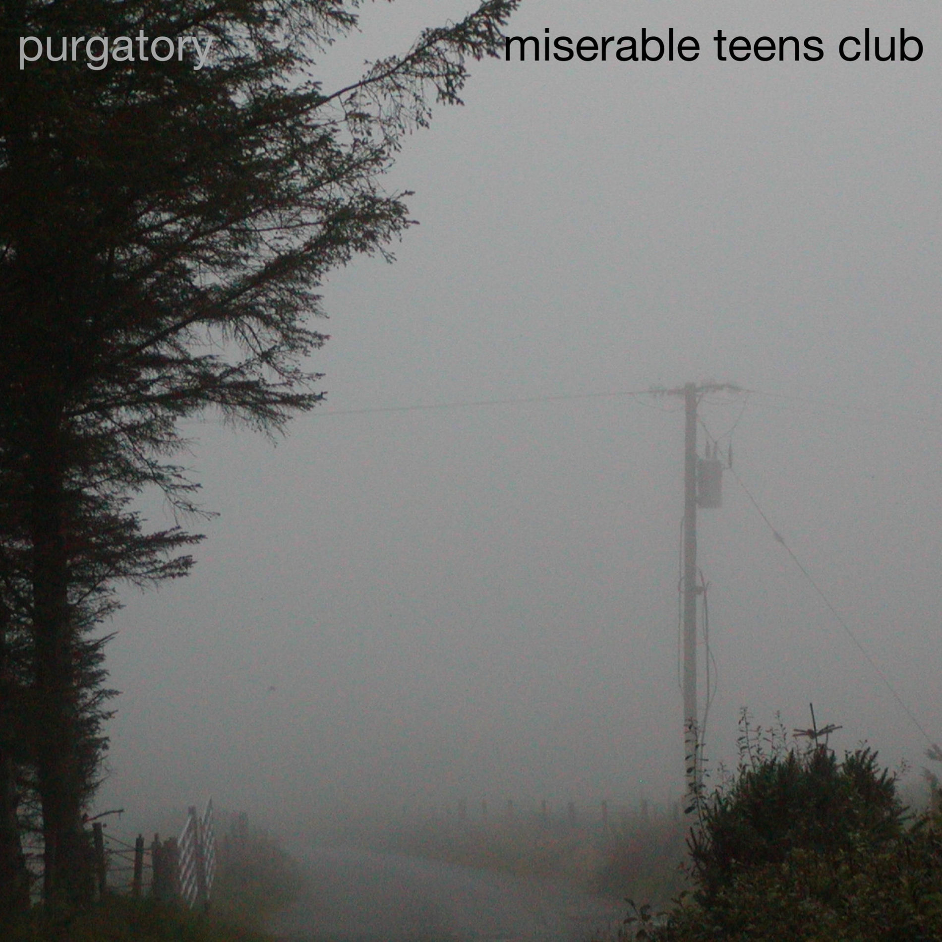 Album cover of purgatory