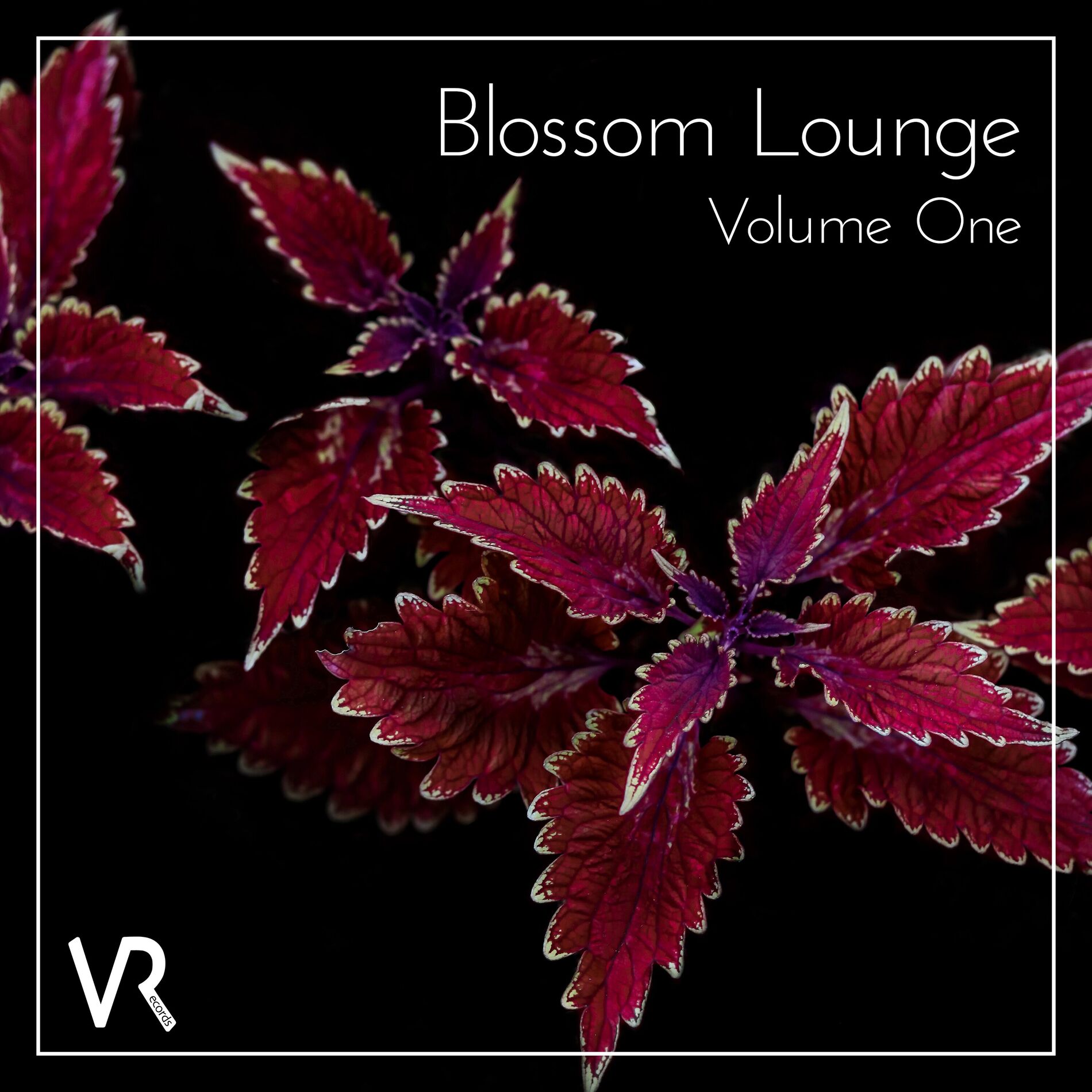 Album cover of Blossom Lounge, Vol.1