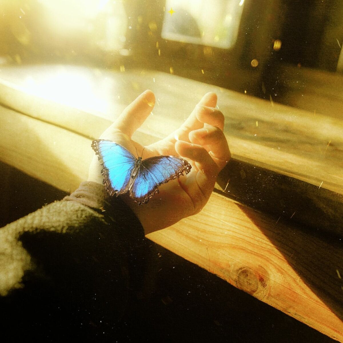 Album cover of Forget