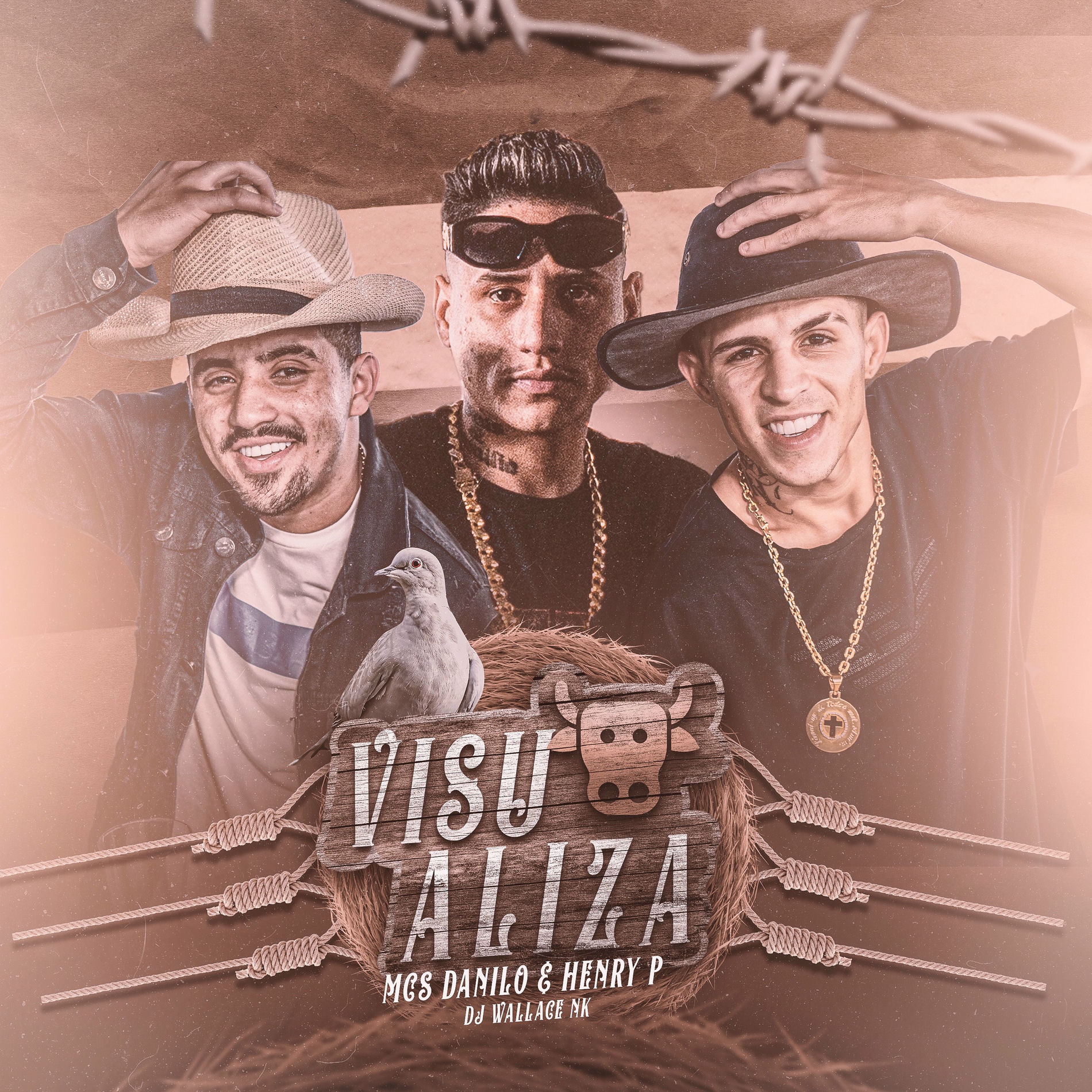 Album cover of Visualiza