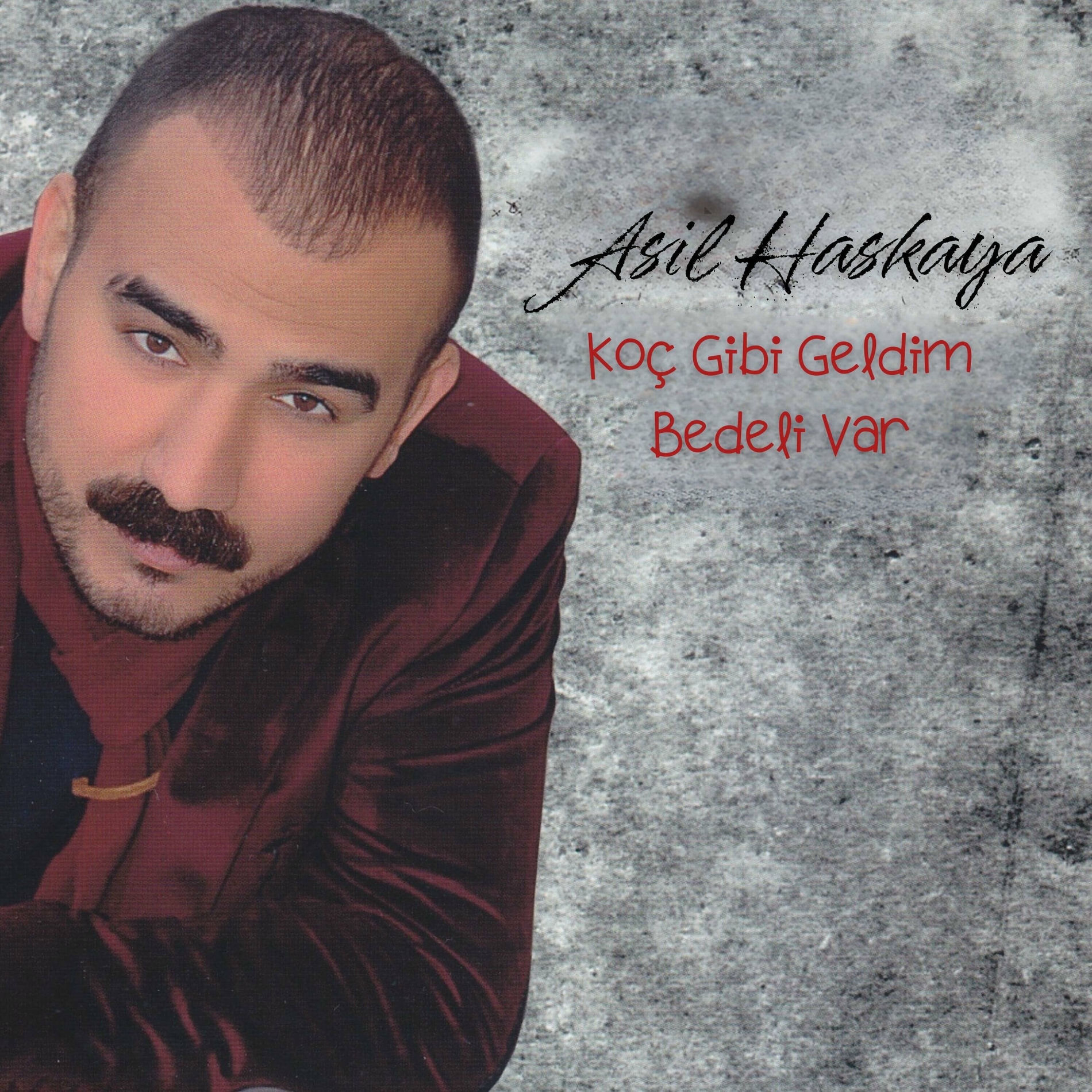 Album cover of Koç Gibi Geldim / Bedeli Var