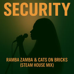 Security (Steam House Mix)
