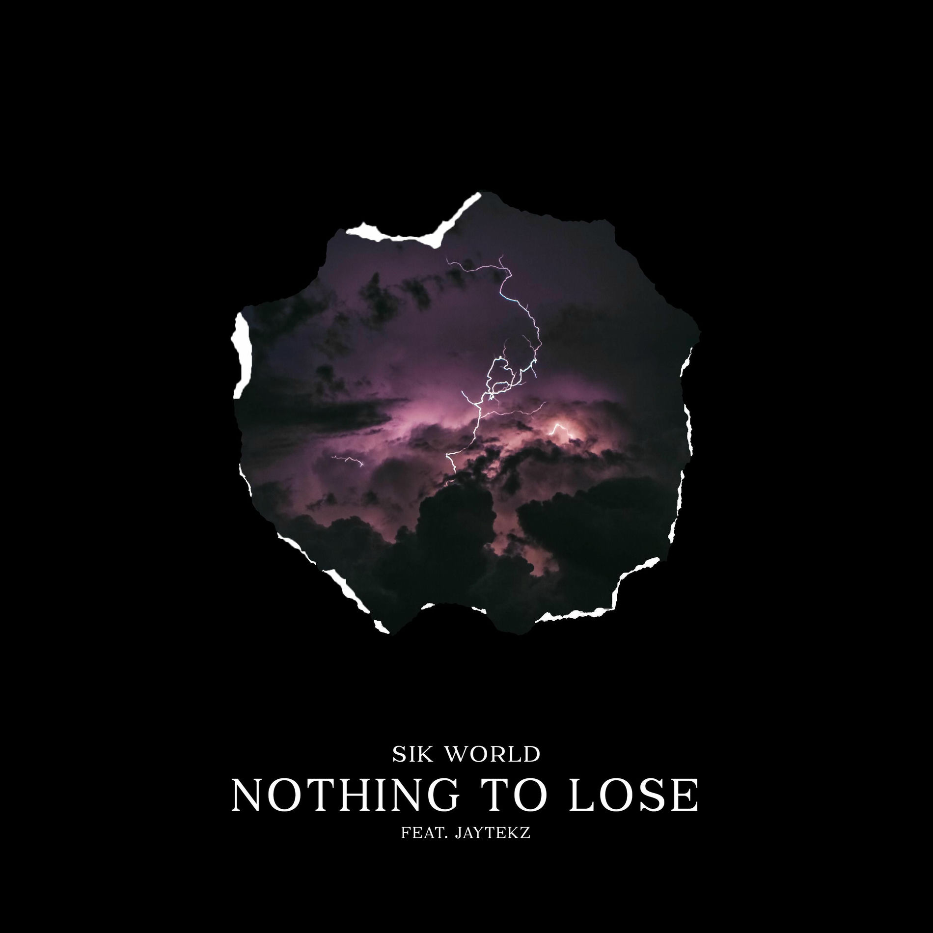 Album cover of Nothing To Lose