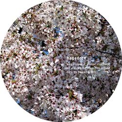 Cover of 2*2