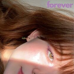 Cover of forever