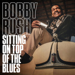 Cover of Sitting on Top of the Blues