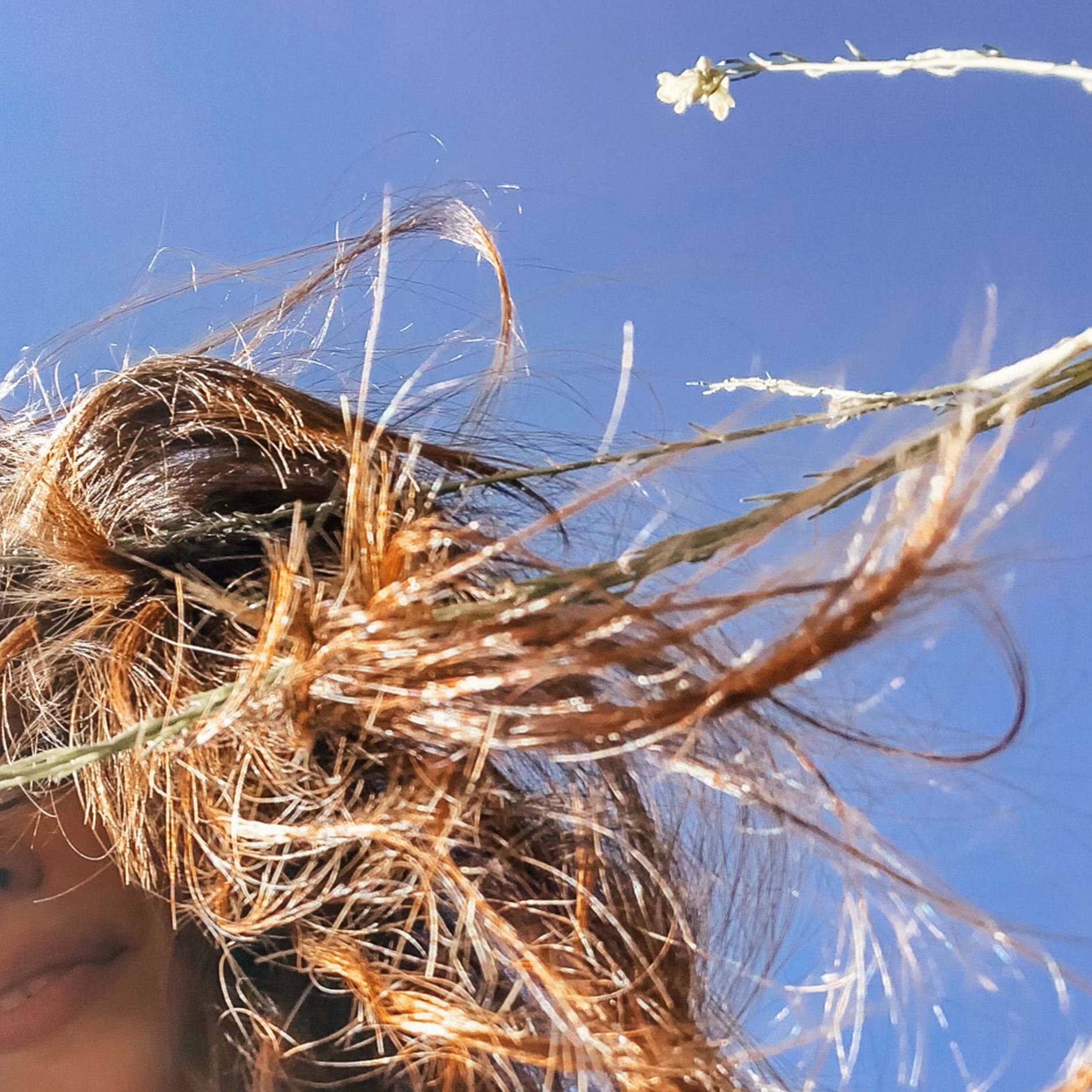 Album cover of Baby, I'm Down