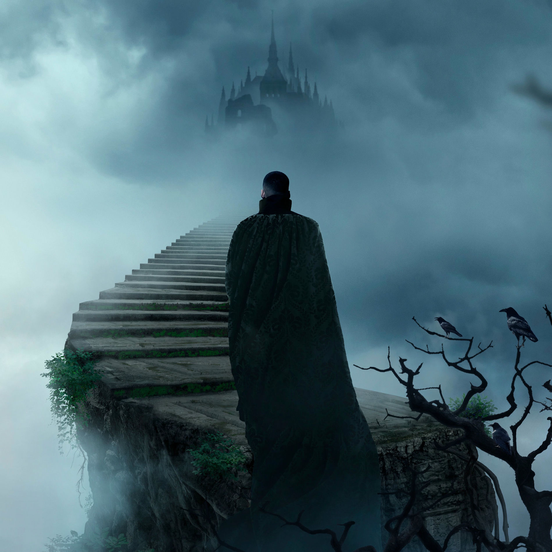 Album cover of Purgatório 2