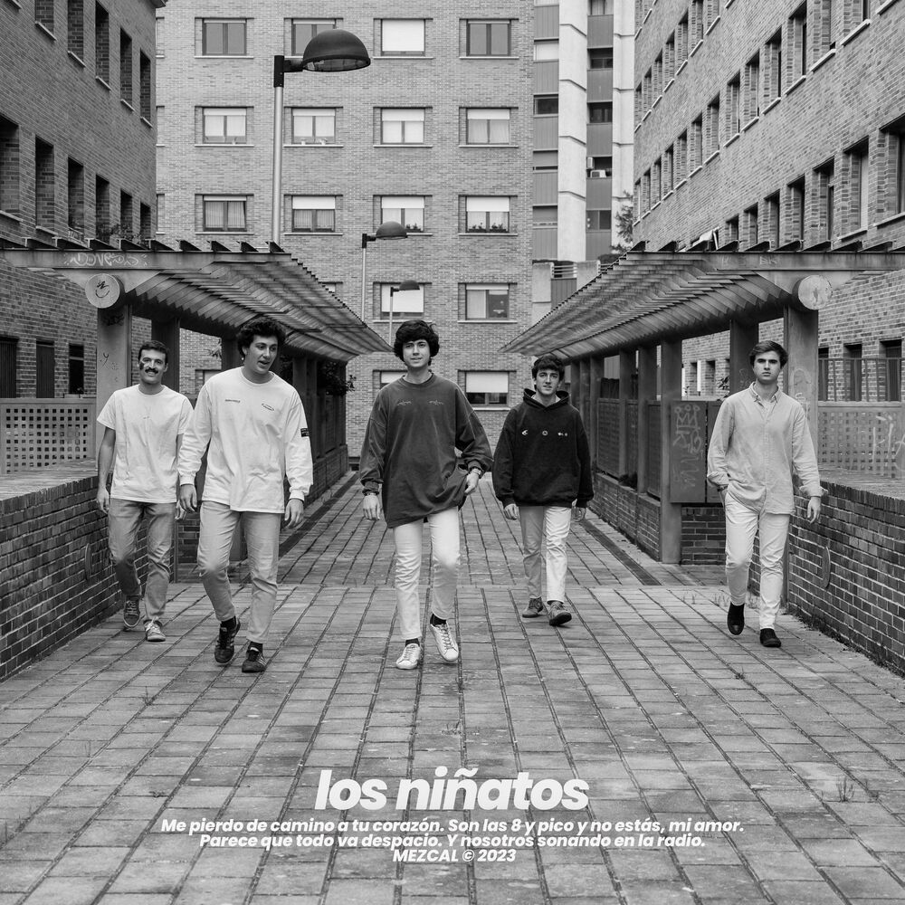 Picture of Los niñatos