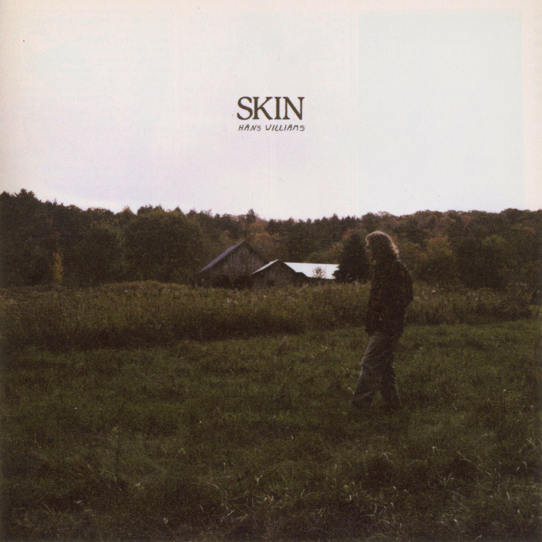 Album cover of Skin