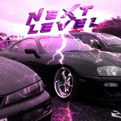Cover of NEXT LEVEL