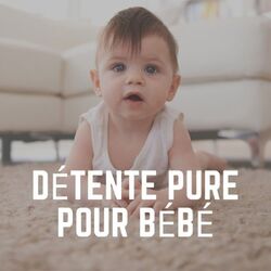 Cover of Détente Pure Pour Bébé