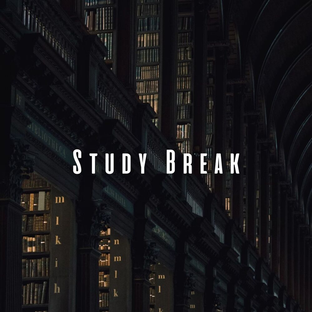 Picture of Study Break: Tranquil Chill Music for Relaxation