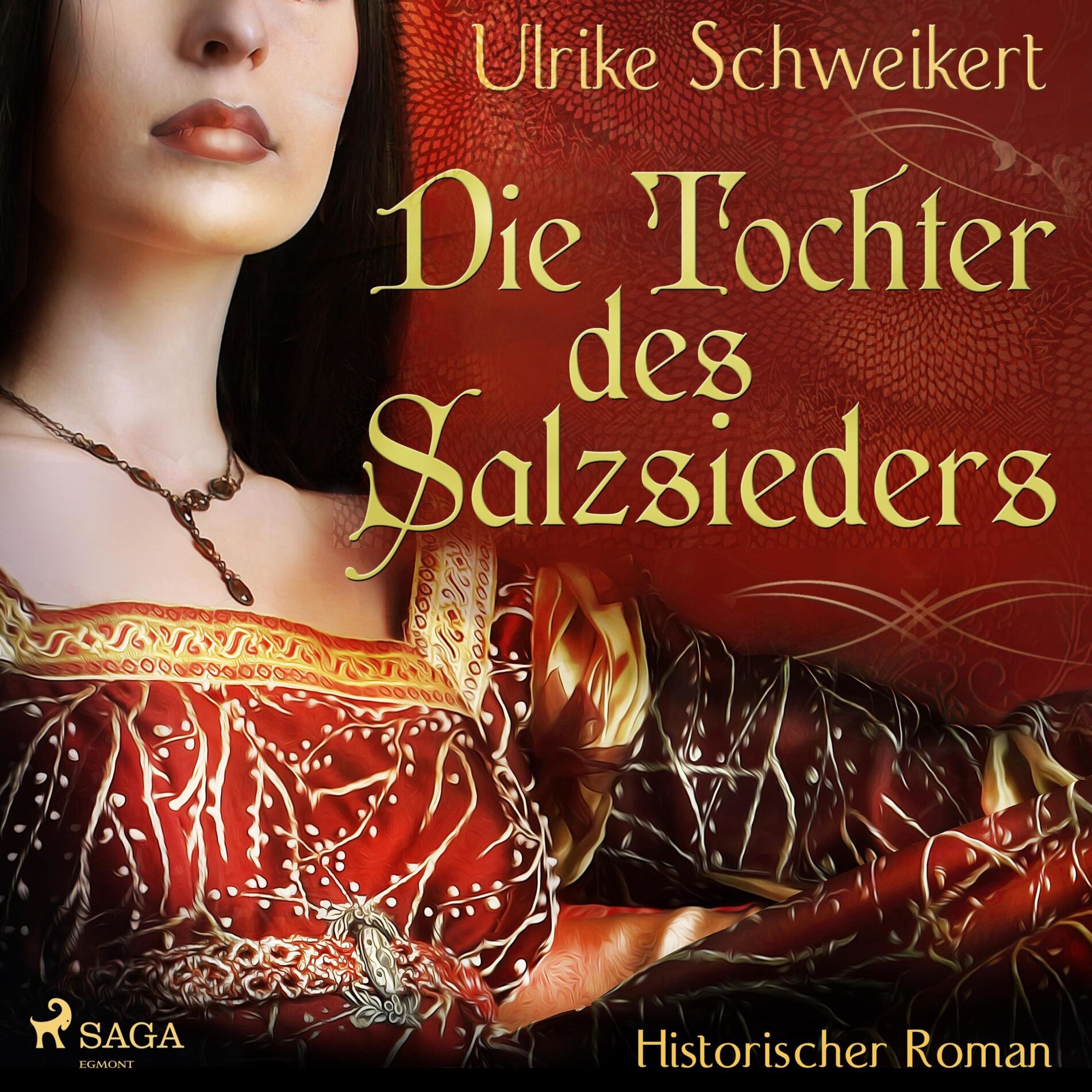 Album cover of Die Tochter des Salzsieders (Ungekürzt)