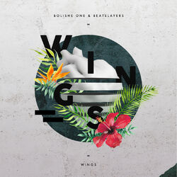 Cover of Wings