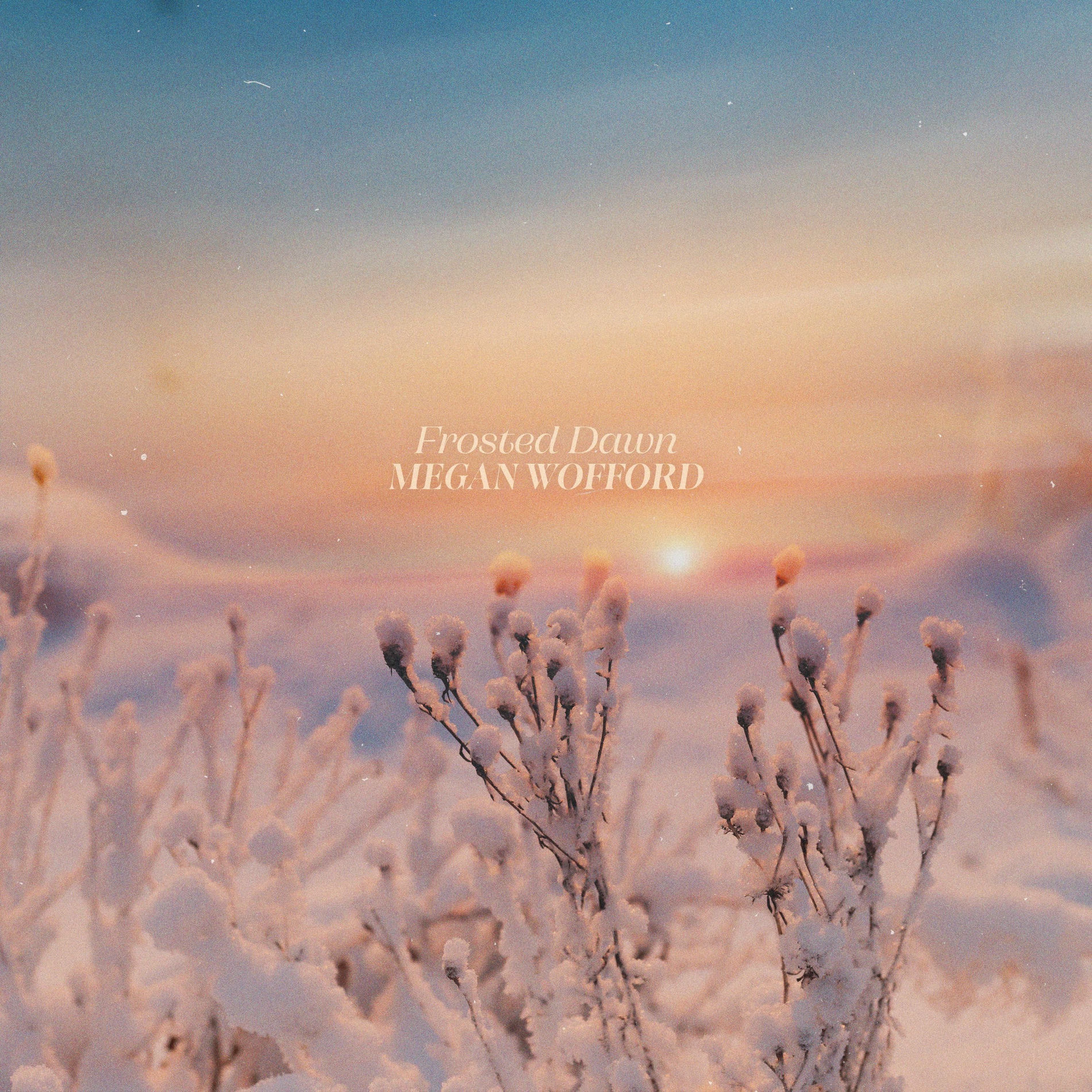 Album cover of Frosted Dawn