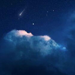 Cover of The Clear Night