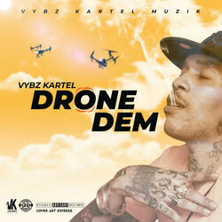 Cover of Drone Dem
