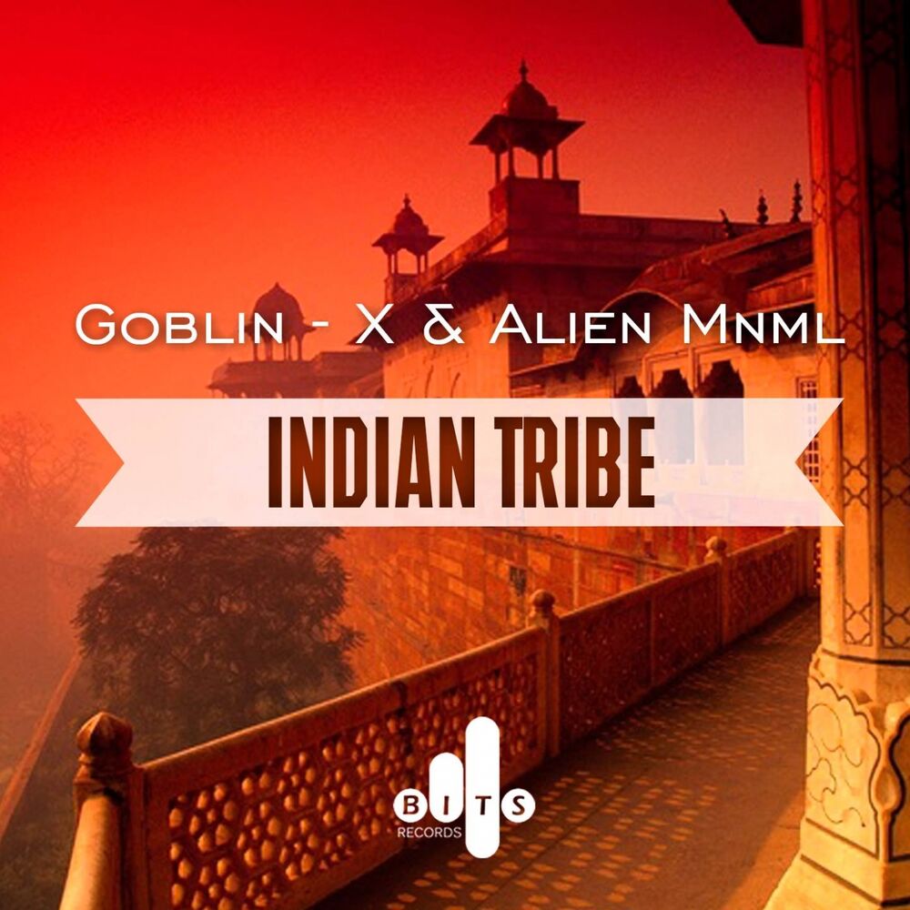 Picture of Indian Tribe