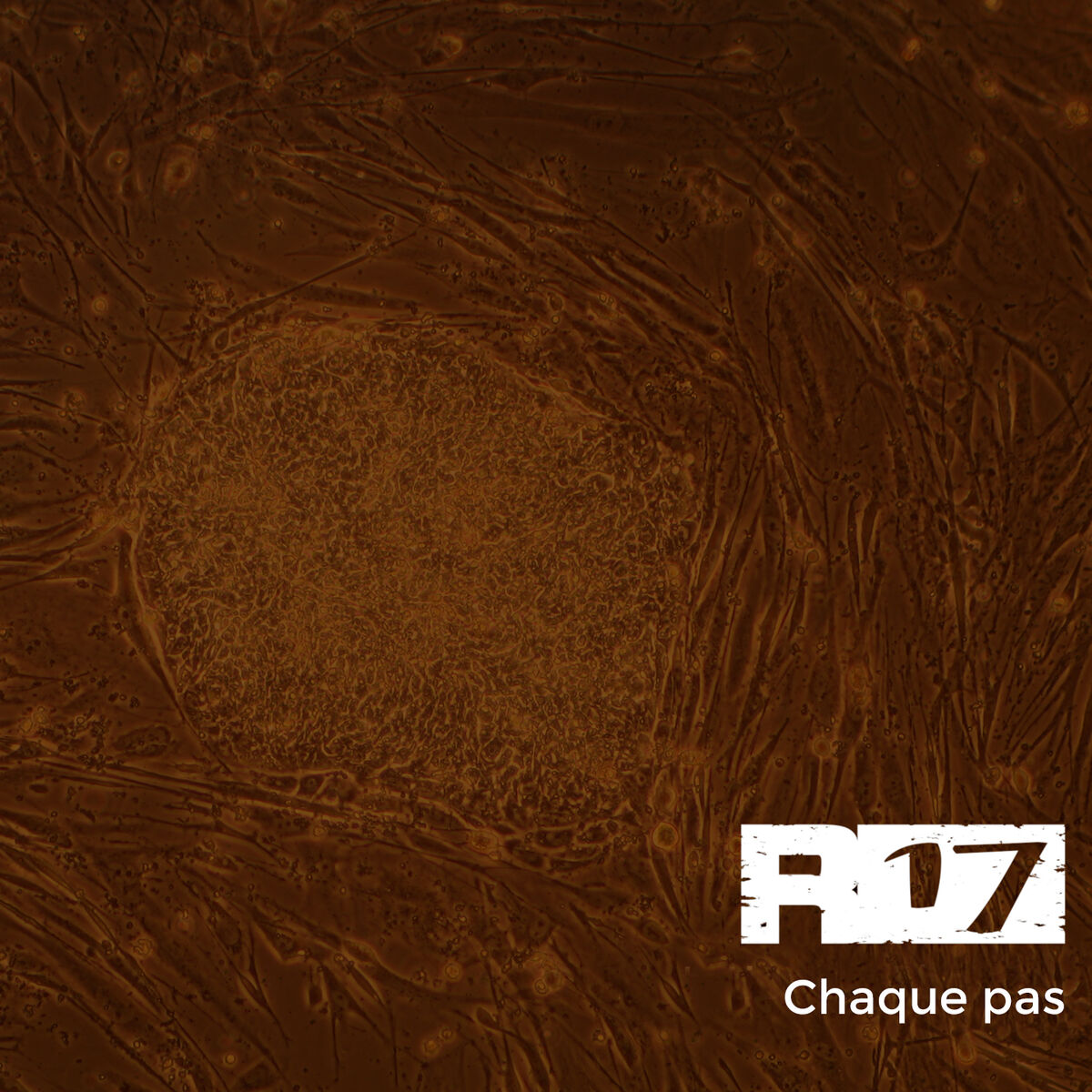 Album cover of Chaque pas (Remix)